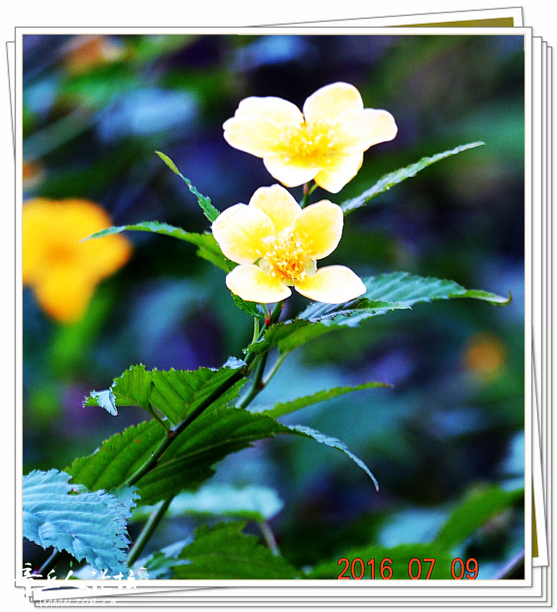 DSC09837.JPG