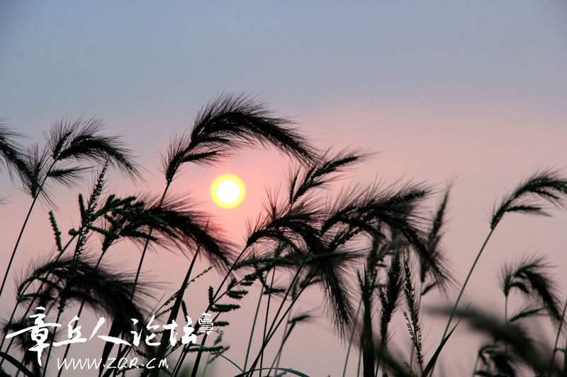 IMG_0901_副本.jpg