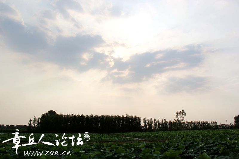 IMG_0873_副本.jpg