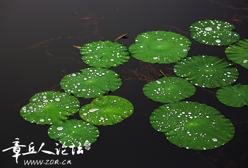 绣源河之美 (2).jpg
