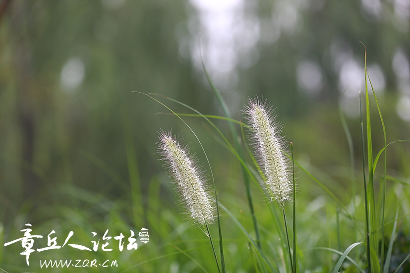 绣源河之美 (4).jpg