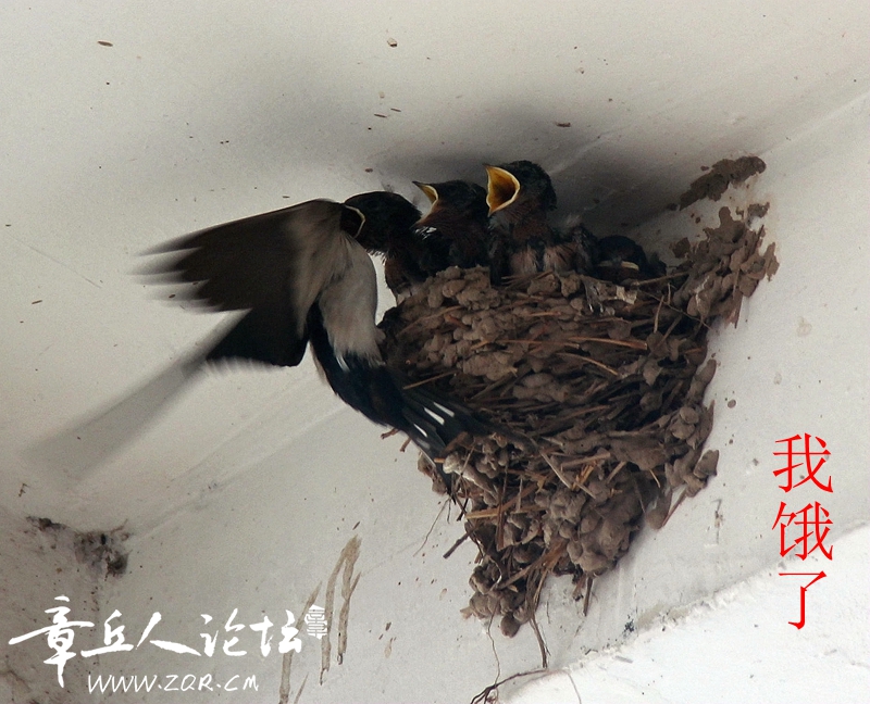 IMG_1354_副本_副本_副本.jpg