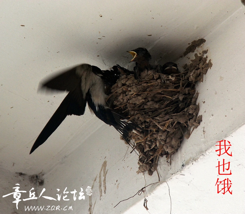 IMG_1363_副本_副本_副本.jpg