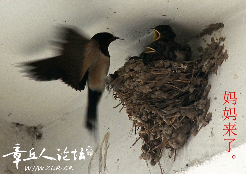 IMG_1371_副本_副本.jpg