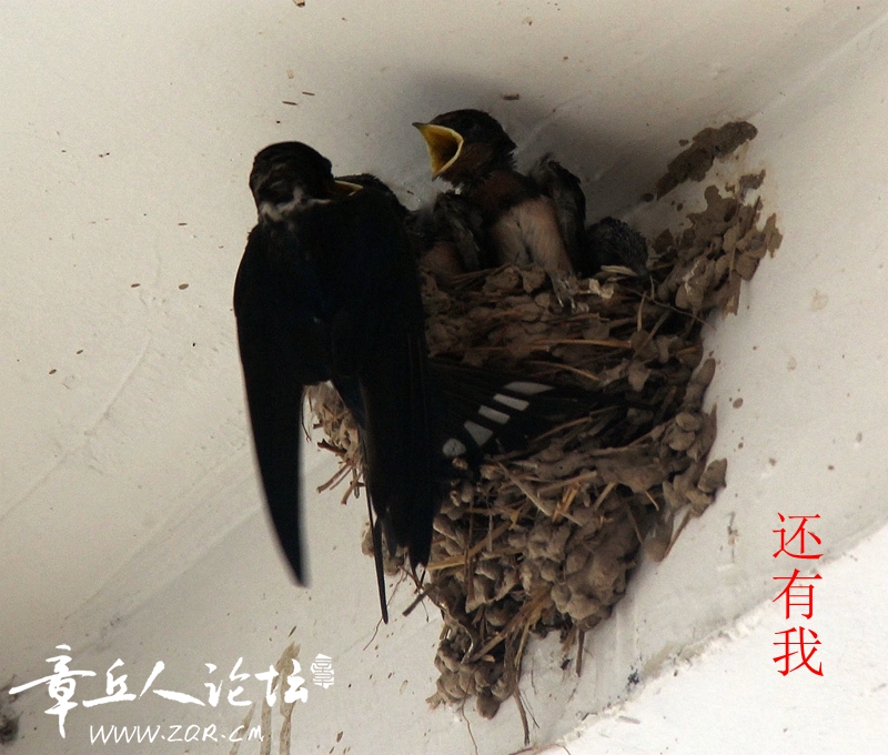 IMG_1387_副本_副本.jpg