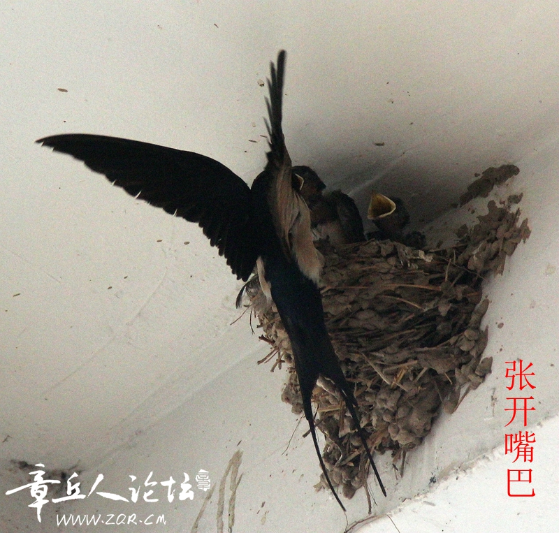 IMG_1390_副本_副本.jpg