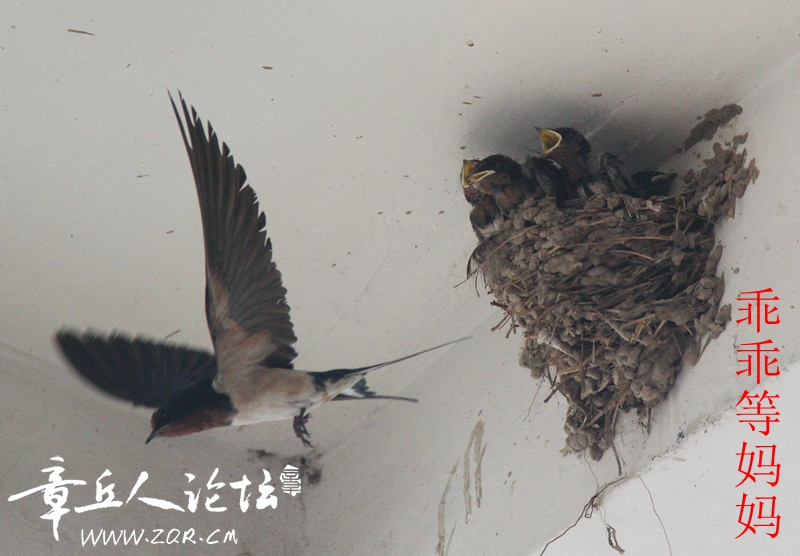 IMG_1412_副本_副本.jpg