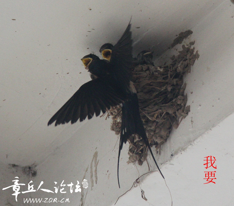 IMG_1416_副本_副本.jpg