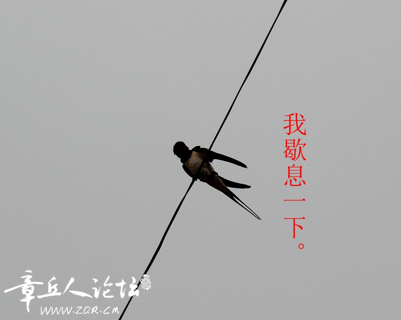 IMG_1426_副本_副本.jpg
