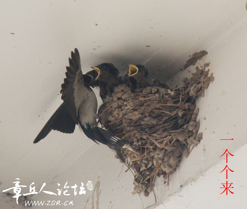 IMG_1440_副本_副本.jpg
