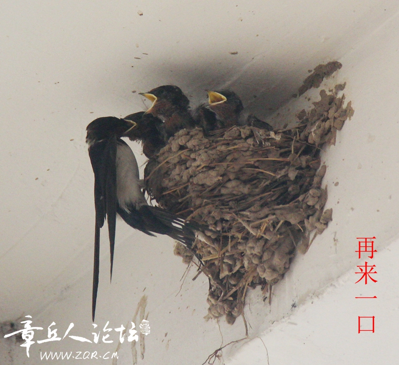 IMG_1441_副本_副本.jpg