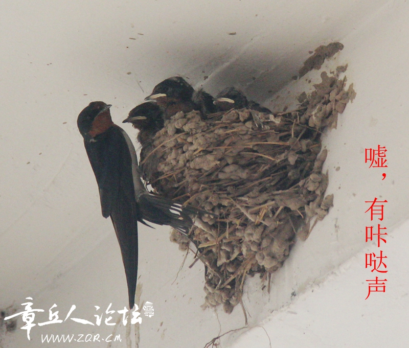IMG_1444_副本_副本.jpg