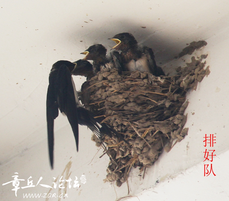 IMG_1595_副本_副本.jpg