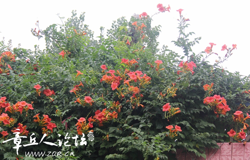 IMG_1631_副本.jpg