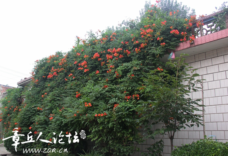 IMG_1633_副本.jpg