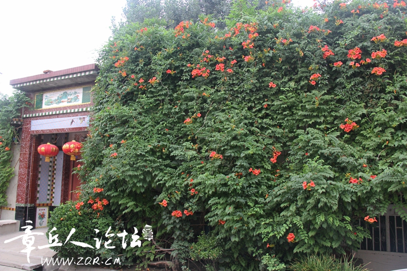 IMG_1634_副本.jpg