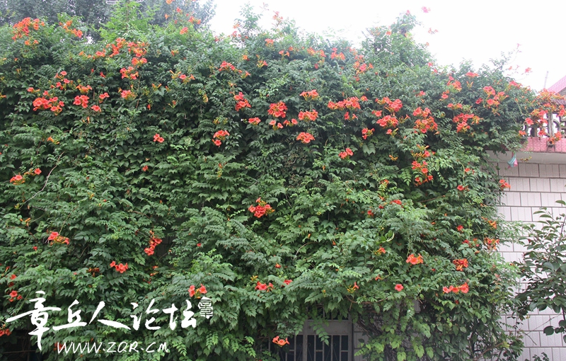 IMG_1635_副本.jpg