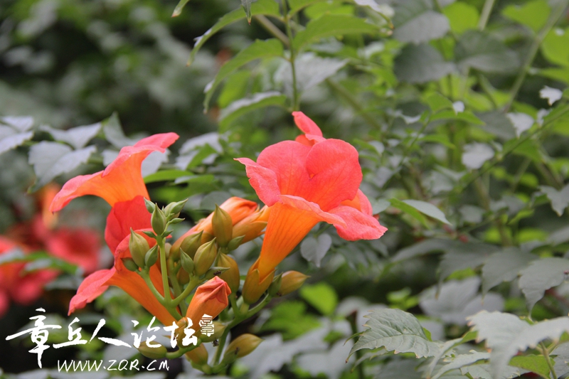 IMG_1637_副本.jpg