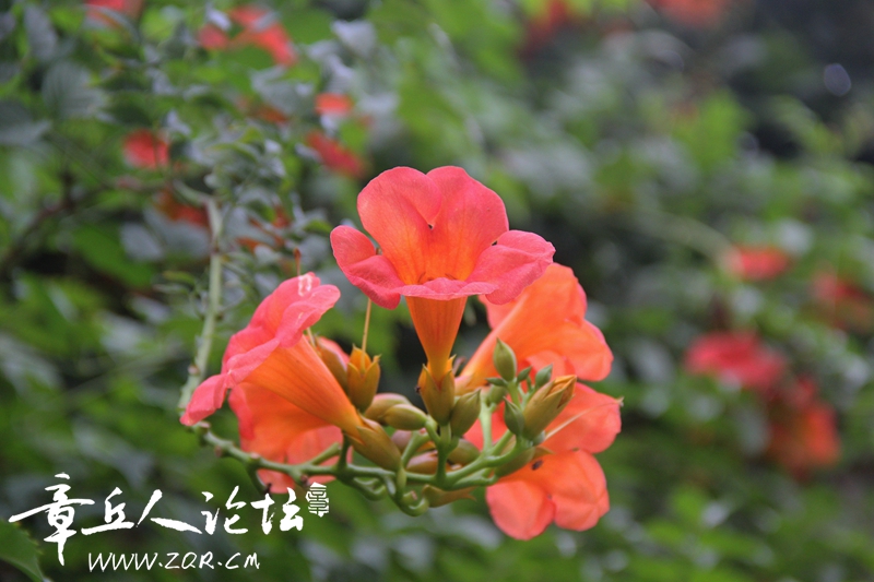 IMG_1638_副本.jpg