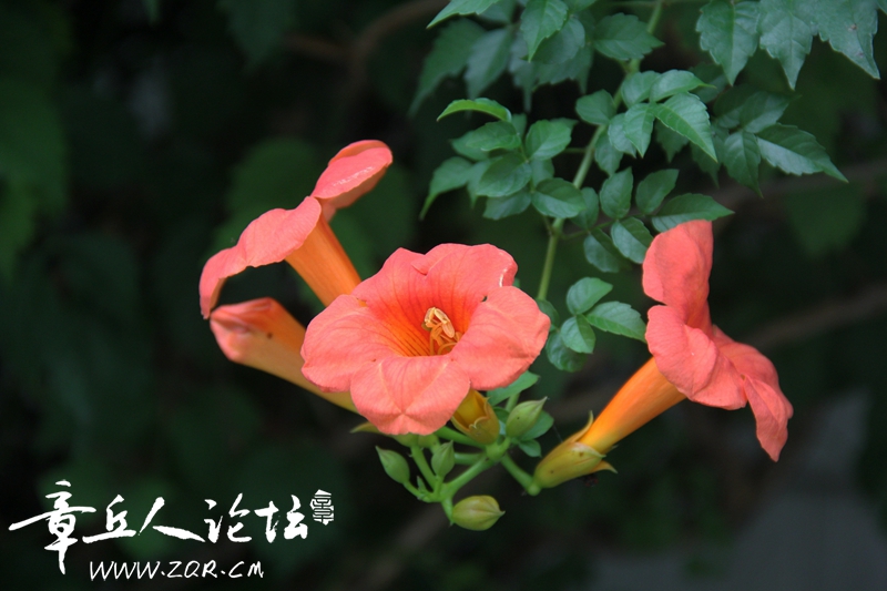IMG_1640_副本.jpg