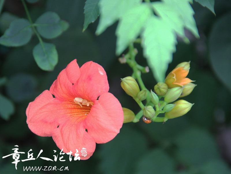 IMG_1642_副本.jpg