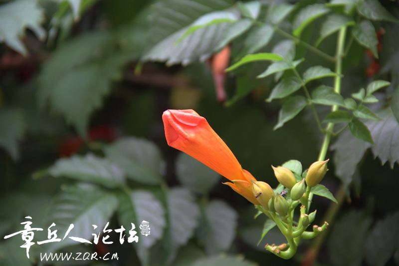 IMG_1643_副本.jpg