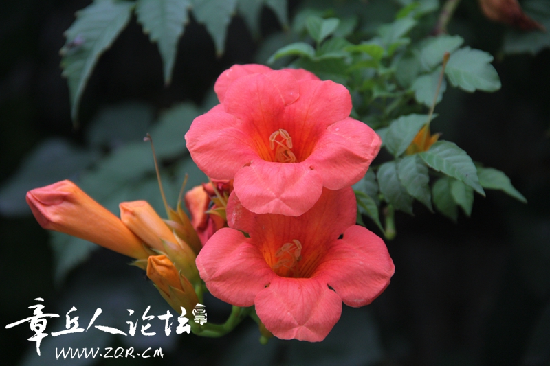IMG_1644_副本.jpg