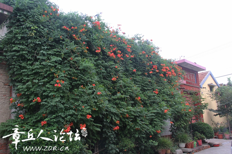 IMG_1645_副本.jpg