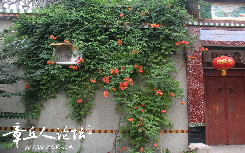 IMG_1646_副本.jpg