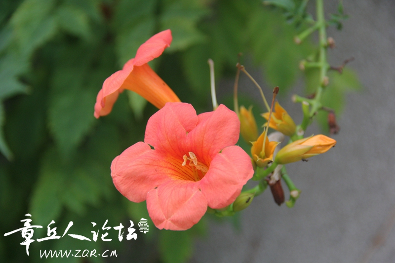 IMG_1647_副本.jpg