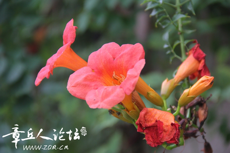 IMG_1648_副本.jpg