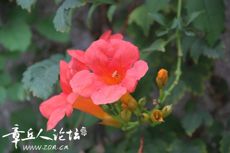 IMG_1649_副本.jpg