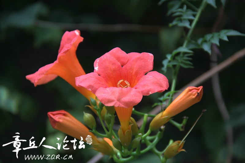 IMG_1650_副本.jpg