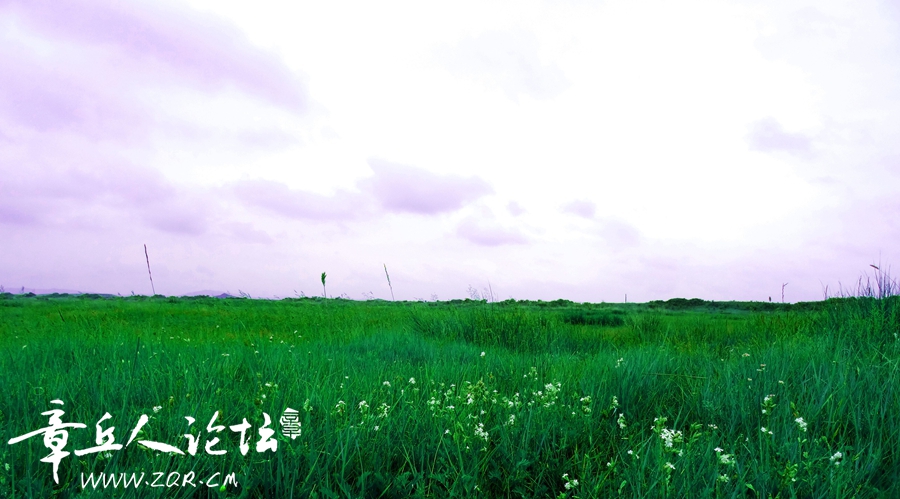 卡片机拍（锡林郭勒行）32.jpg