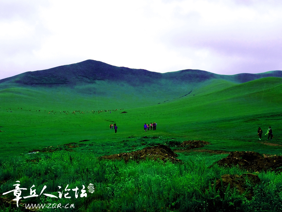 卡片机拍（锡林郭勒行）45.jpg