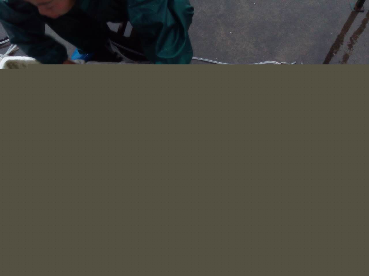 105911rxjx6jjz3qe3jmqg.jpg