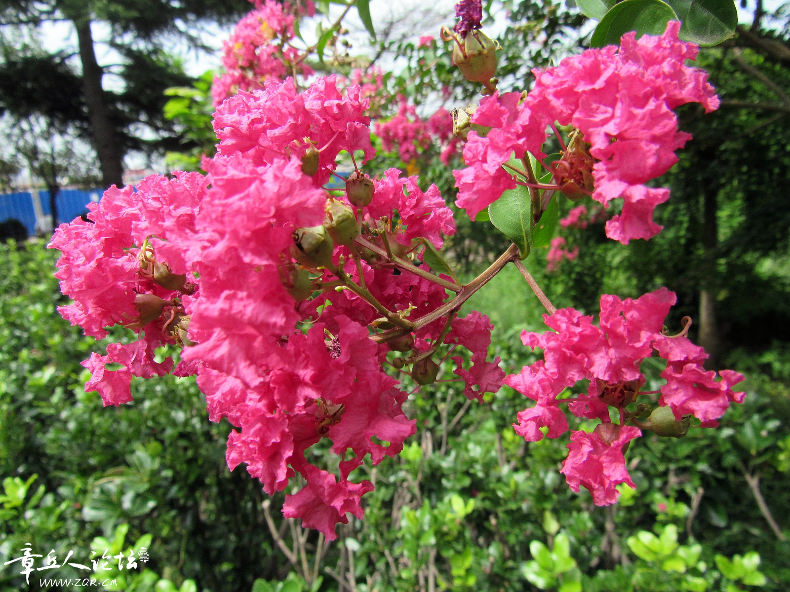 IMG_1770_副本.jpg