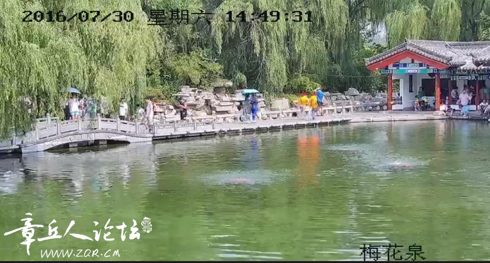 97.jpg
