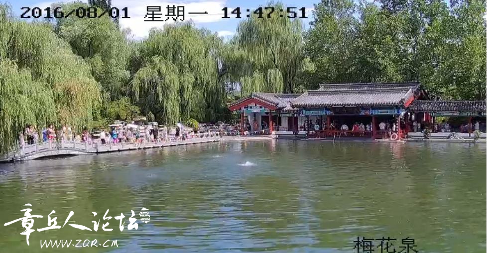 124.jpg
