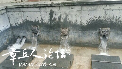 8wZarWTV66wV.jpg