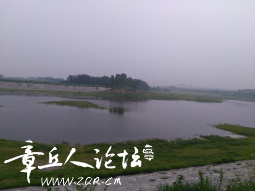 IMG_20160726_101205.jpg