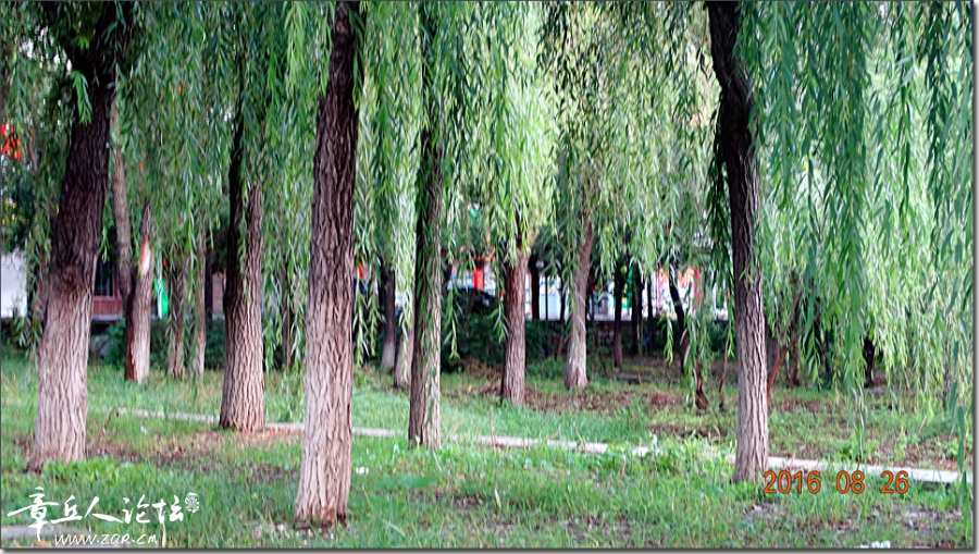 085450dji1l9iljx911v9n.jpg