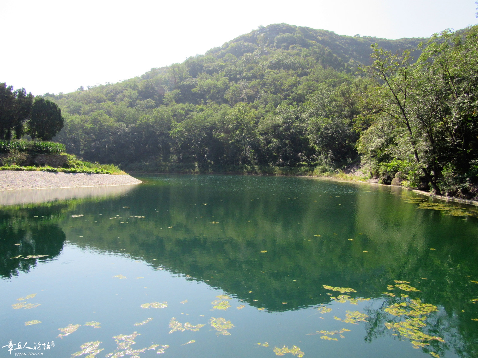 IMG_1938_副本.jpg