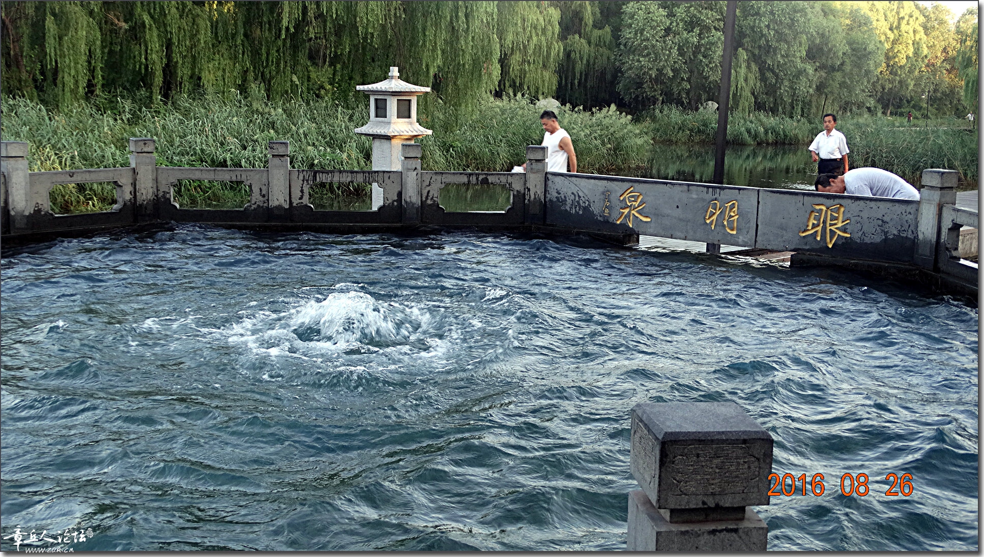 DSC00494.JPG