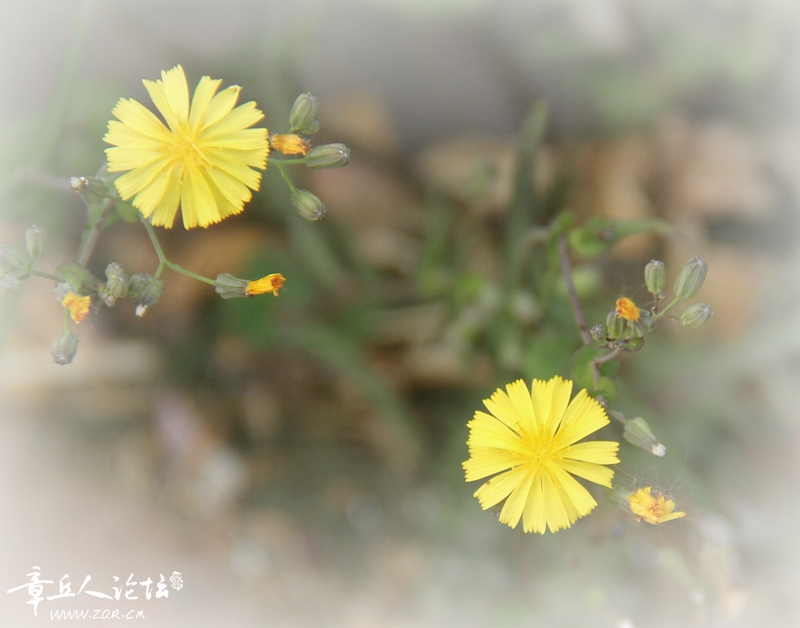 IMG_0085_副本.jpg