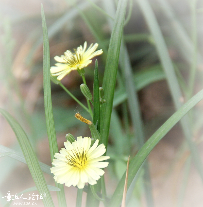 IMG_0088_副本.jpg