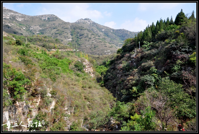 DSC_0234.jpg