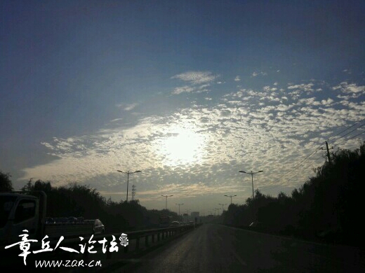 66J6C1bspB01.jpg