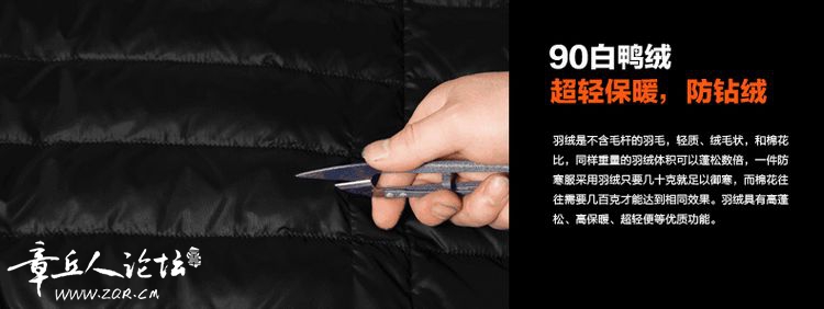 雪狼37.jpg
