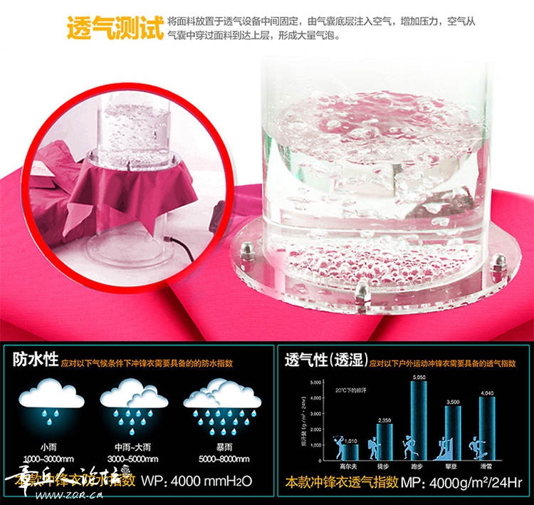 雪狼12.jpg